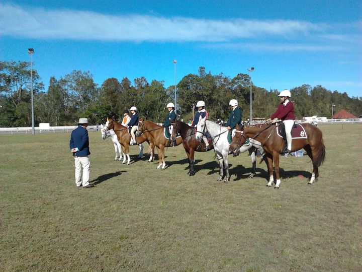 Manning Valley Saddlery - Logo