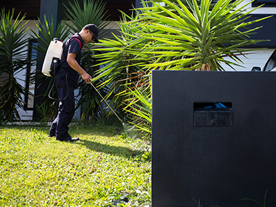 Mann's Pest Control - Cover photo