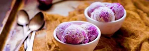 Manoj Ice Cream - Logo