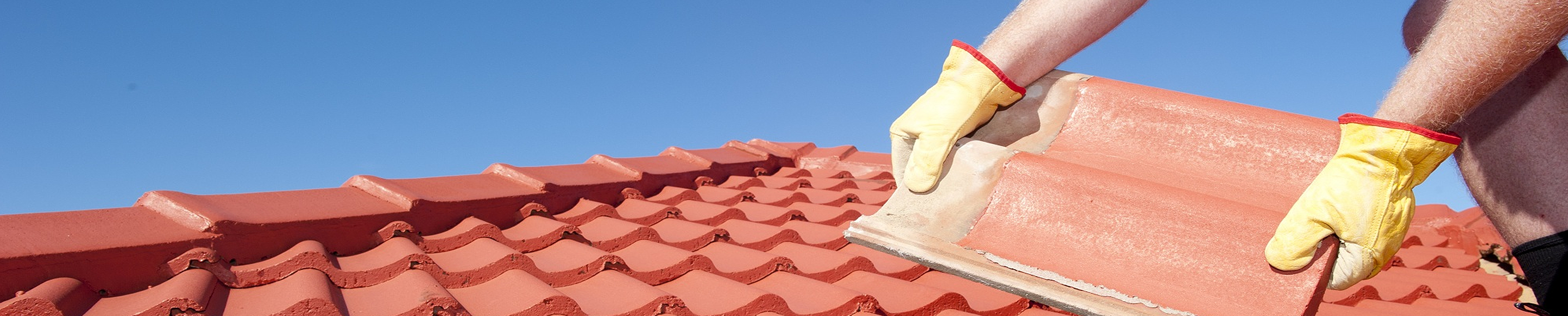 Man vs Roof - Logo