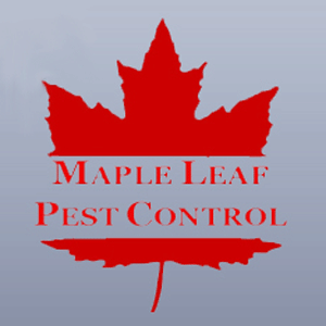 Maple Leaf Pest Control - Cover photo