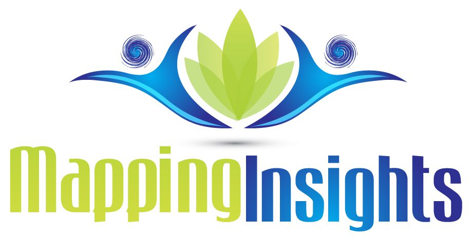 Mapping Insights - Cover photo