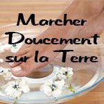 Marcher Doucement sur la Terre - Logo