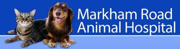 Markham Road Animal Hospital - Logo