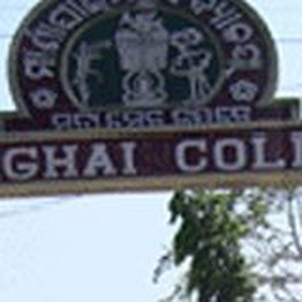 Marshaghai College (MC) - Logo
