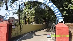 Marshall School Dehradun - Logo