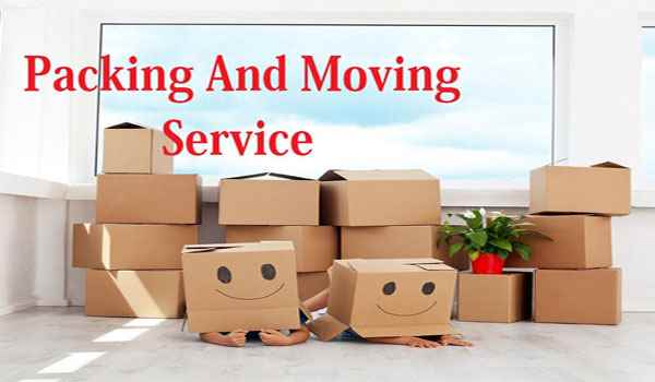 Maruti Cargo Packers And Movers - Cover photo