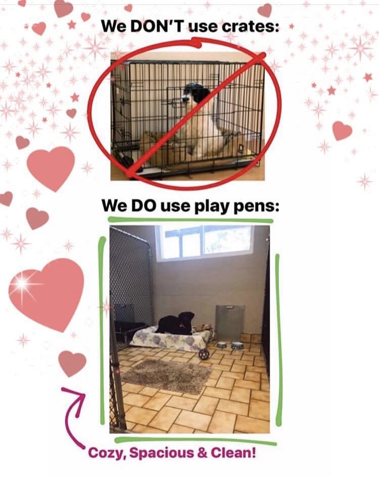 Mas &a; Paws Pet Resort - Cover photo