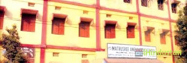Matrushree Anglo Vedic School - Logo
