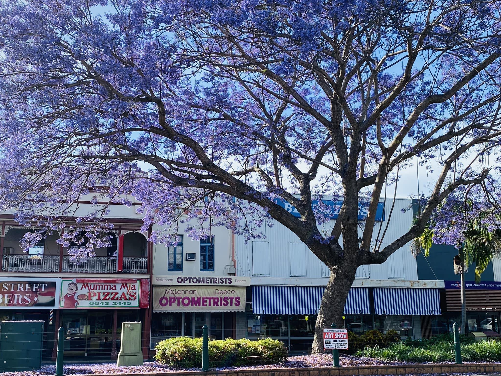 Matthew McLennan Dr–Optometrist - Cover photo