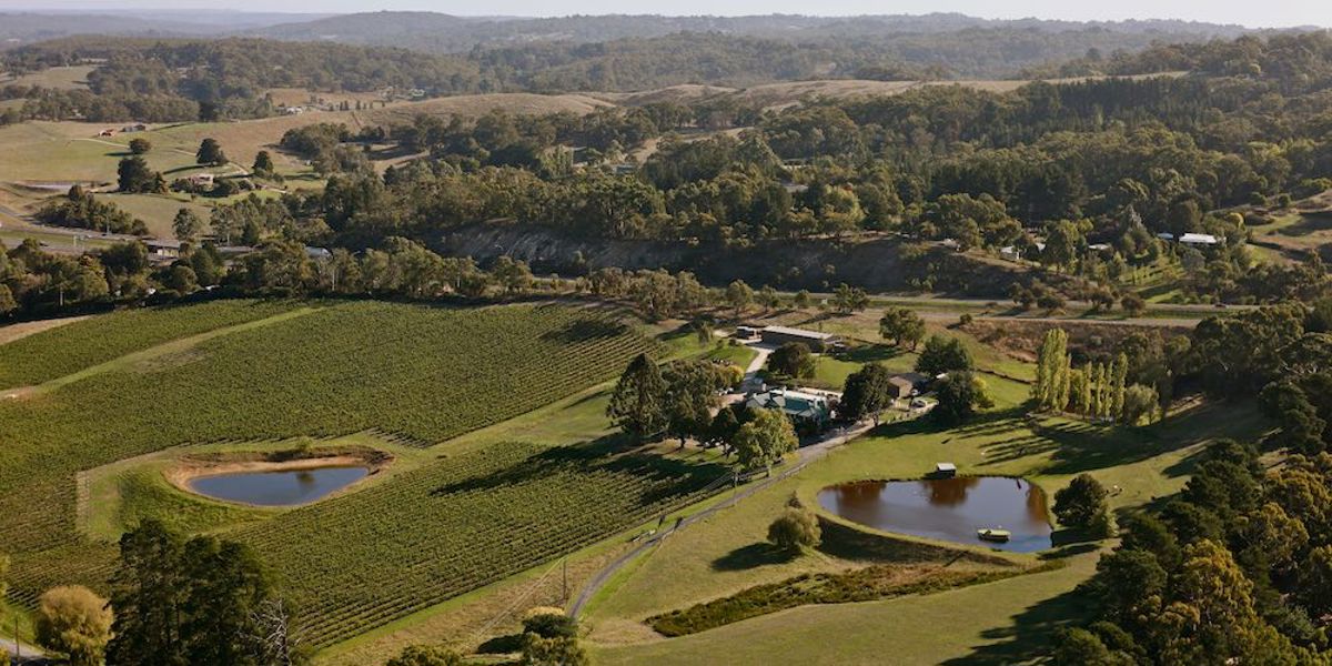Maximilian's Restaurant & Cellar Door - Logo