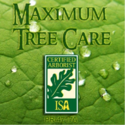 Maximum Tree Care - Logo