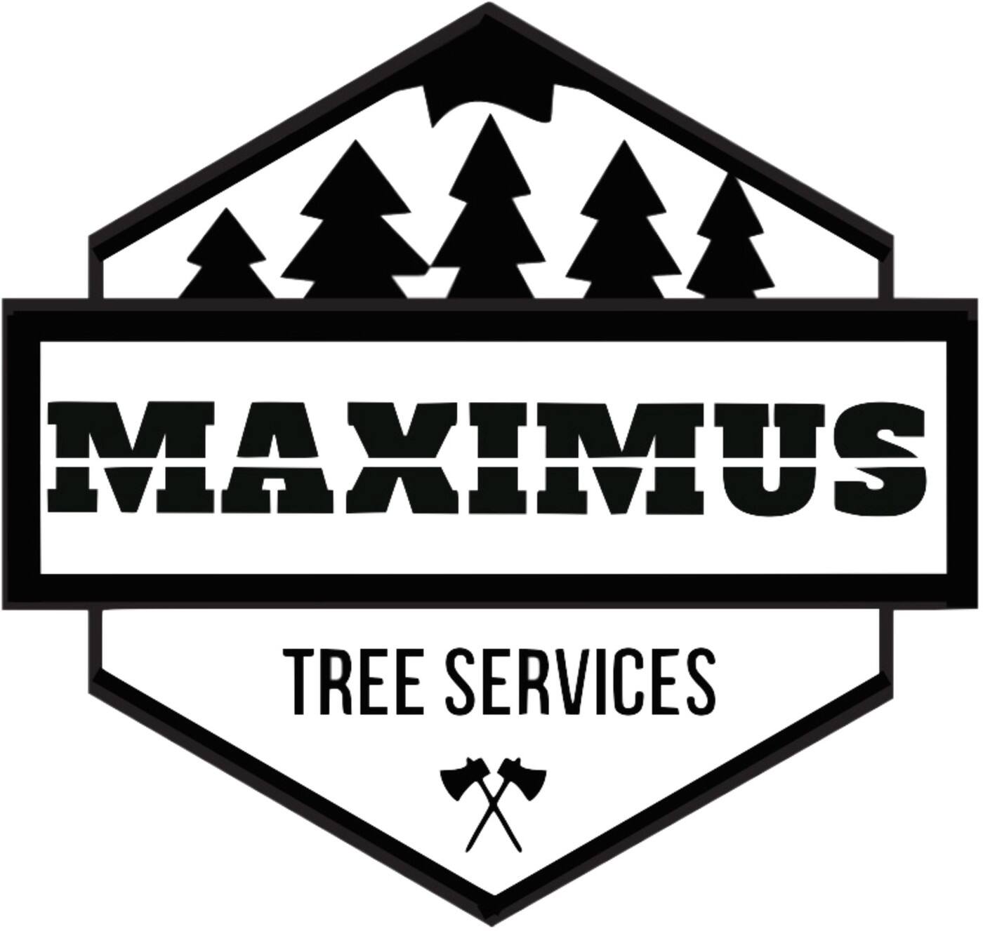 Maximus Tree & Stump Removal - Cover photo