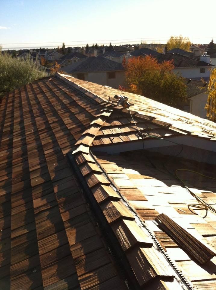 Max&s;s Quality Roofing - Logo