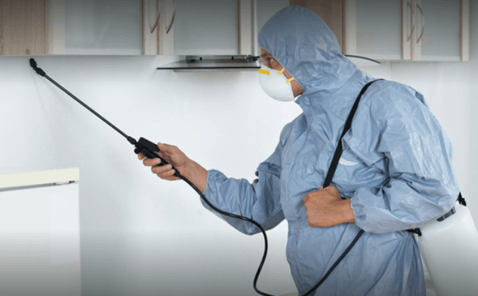 Mayank Pest Control - Cover photo
