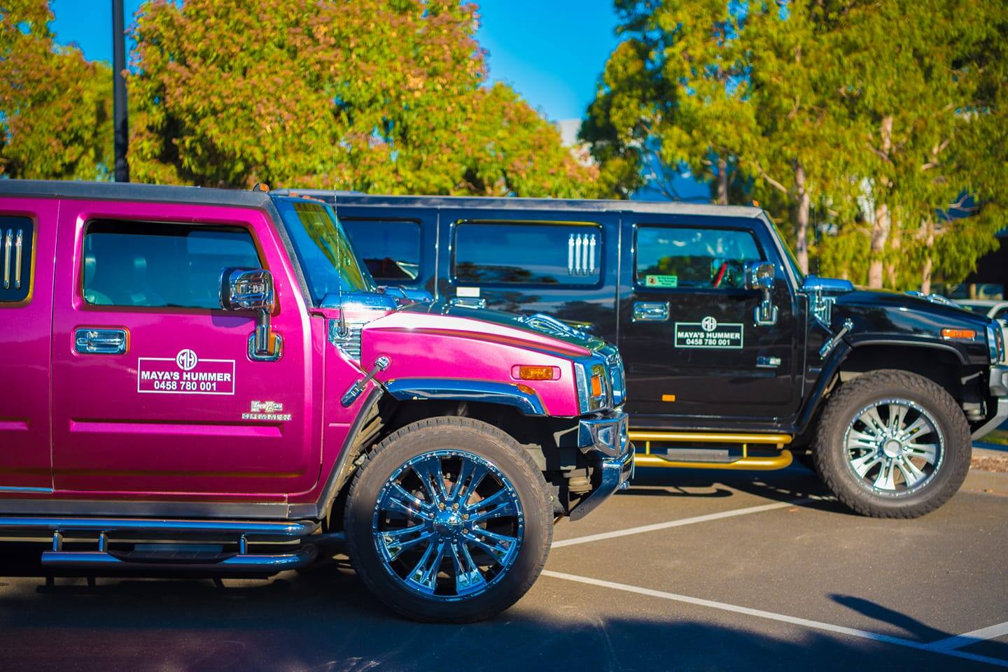 Mayas Hummer - Cover photo