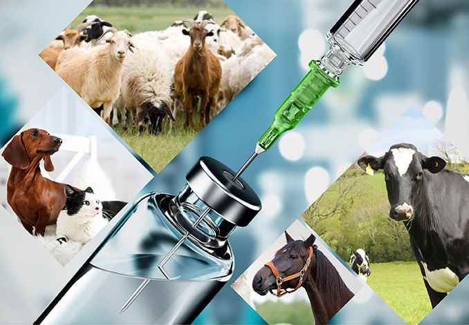 Medico Surgical Distributors - Cover photo