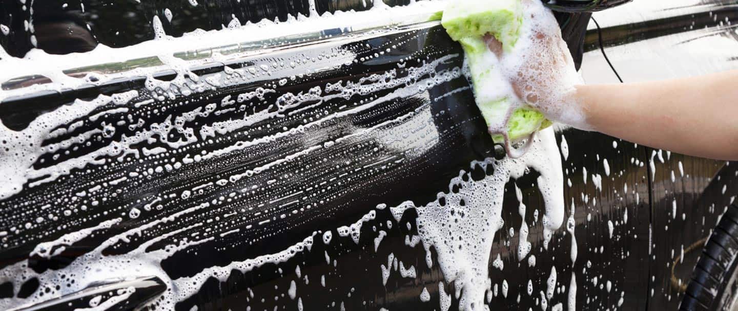 Mega Polish - Cover photo