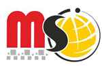Megasoft System - Logo