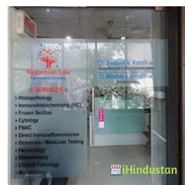 Megavision Labs Private Limited, Pune - Logo