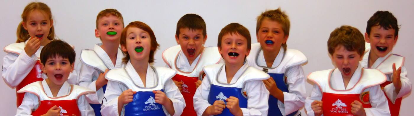 Melbourne Taekwondo Centre - Diamond Valley - Logo