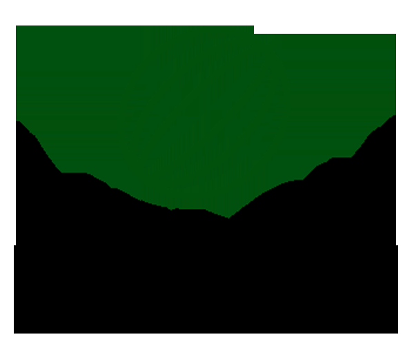 Melon Media Development - Logo