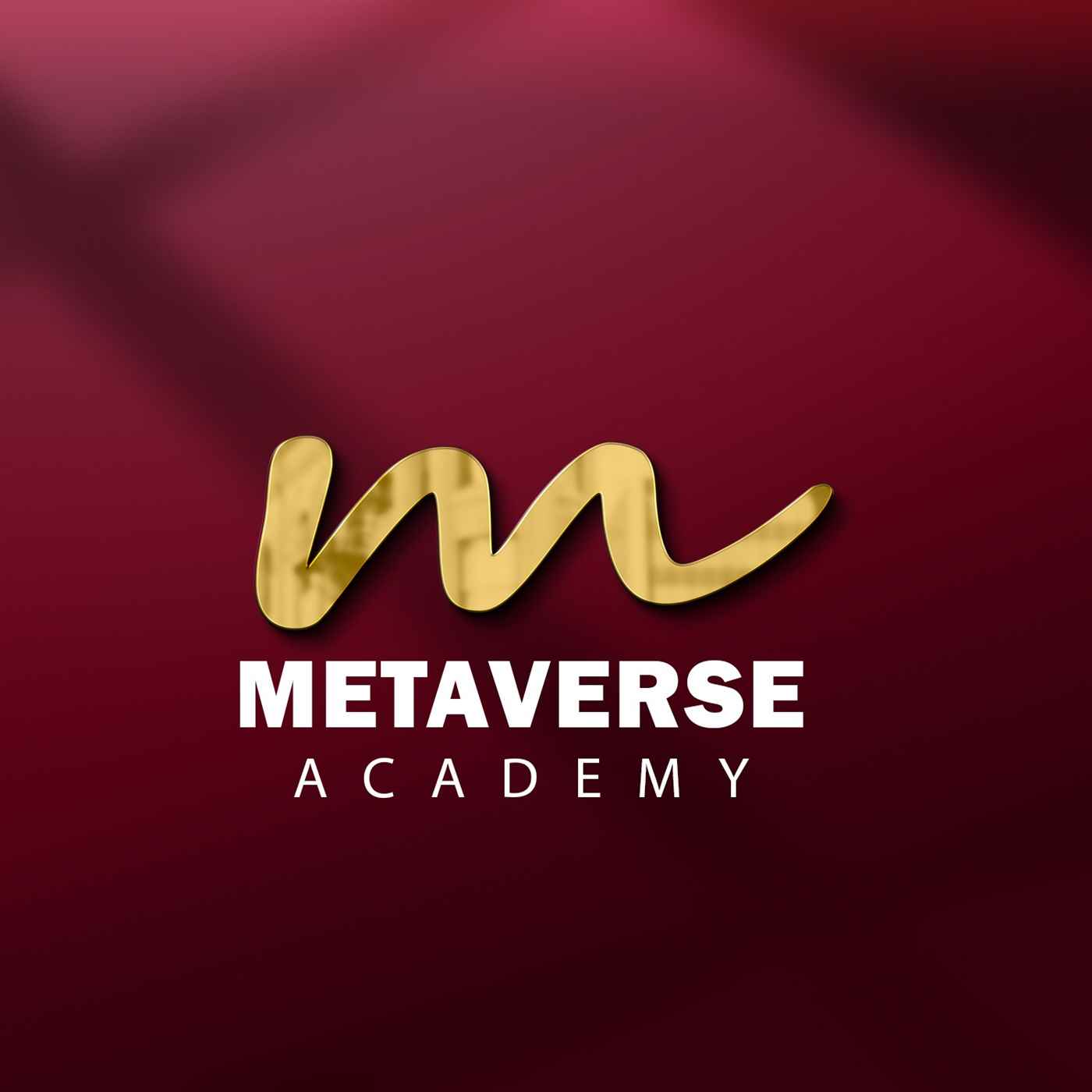 Metaverse Academy - Cover photo