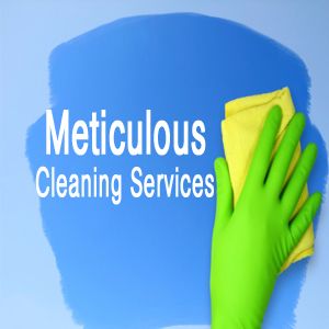 Meticulous Cleaning Services - Logo