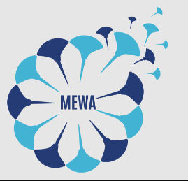 Mewa Vanguard Business School (MEWA VBS) - Logo