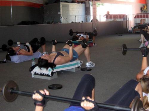 Miami Fitness - Logo