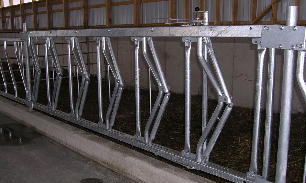 Michael&s;s Stabling Developments Inc - Cover photo