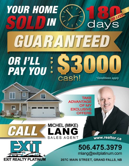 Michel (Mike) Lang- EXIT Realty Platinum - Cover photo