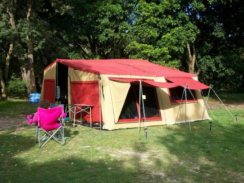 Midcoast Camper Hire - Logo