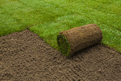 Mid Coast Turf - Logo