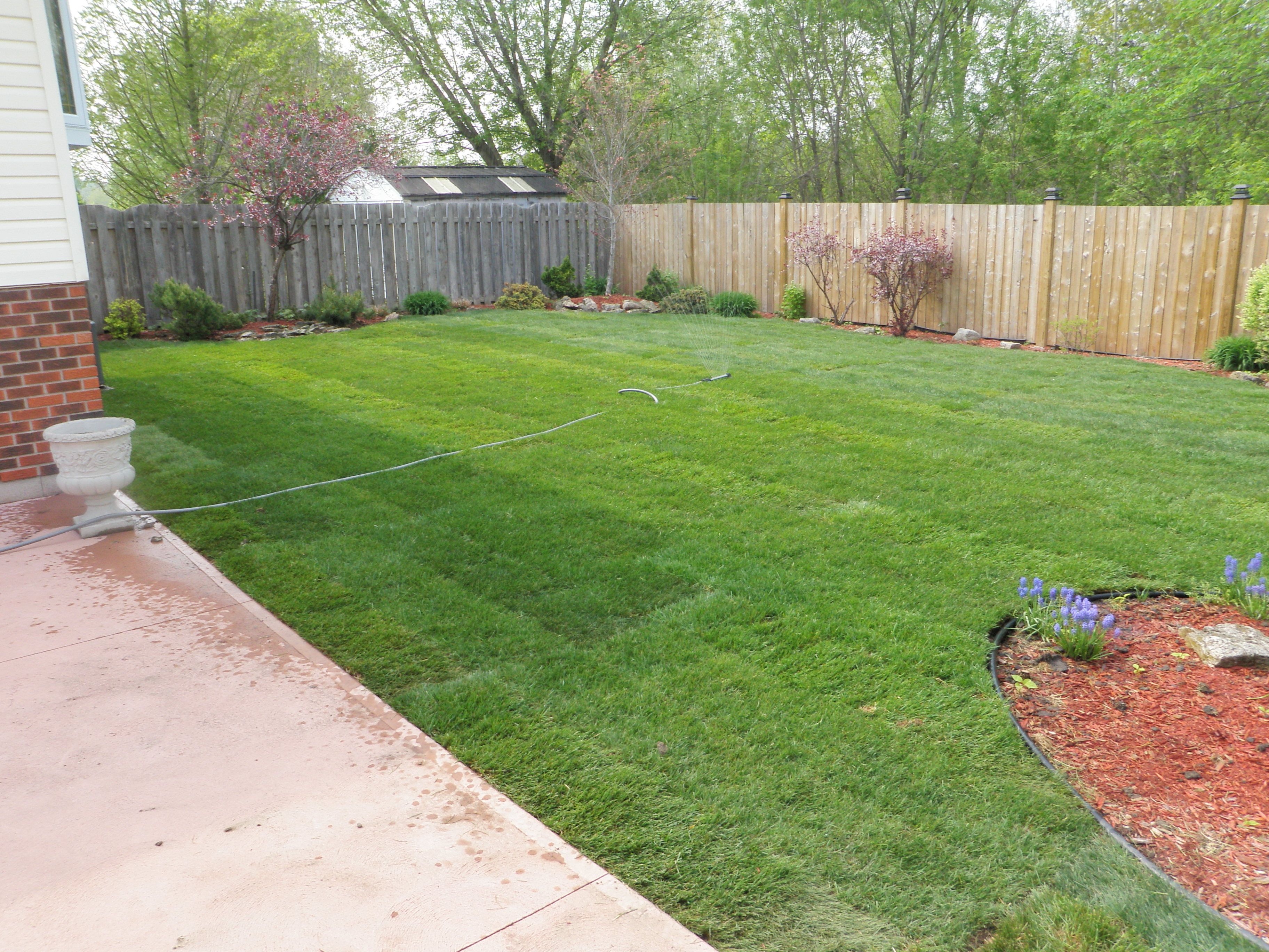 Mighty Turf Inc. - Cover photo