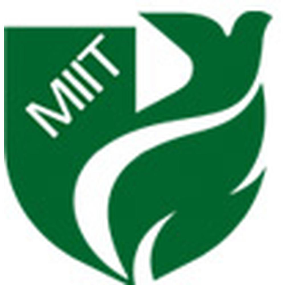 MIIT Meerut (MIIT MEERUT) - Logo