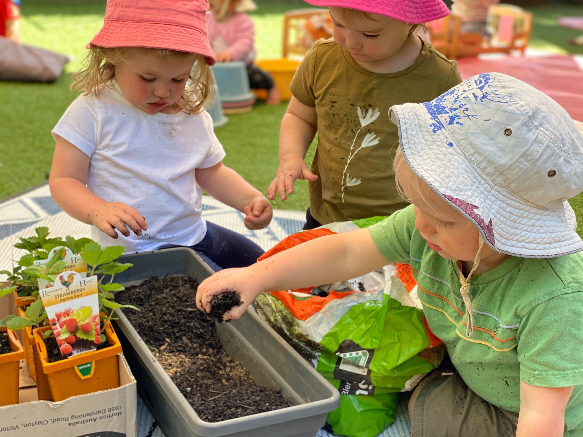 Milestones Early Learning Wagga Wagga - Logo