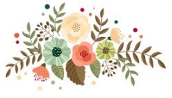 Mind Body Spirit Wellness Center and Holistic Spa - Cover photo