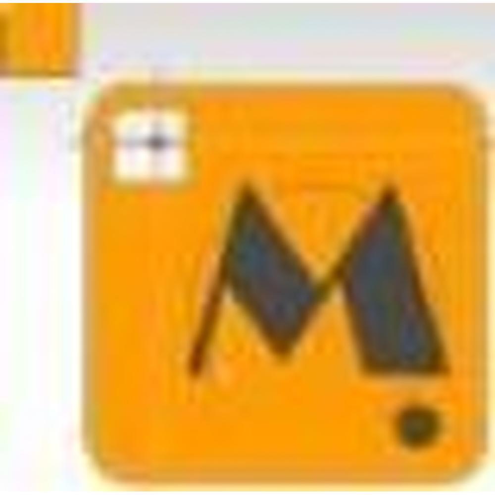 Minerva College of Architecture - Logo
