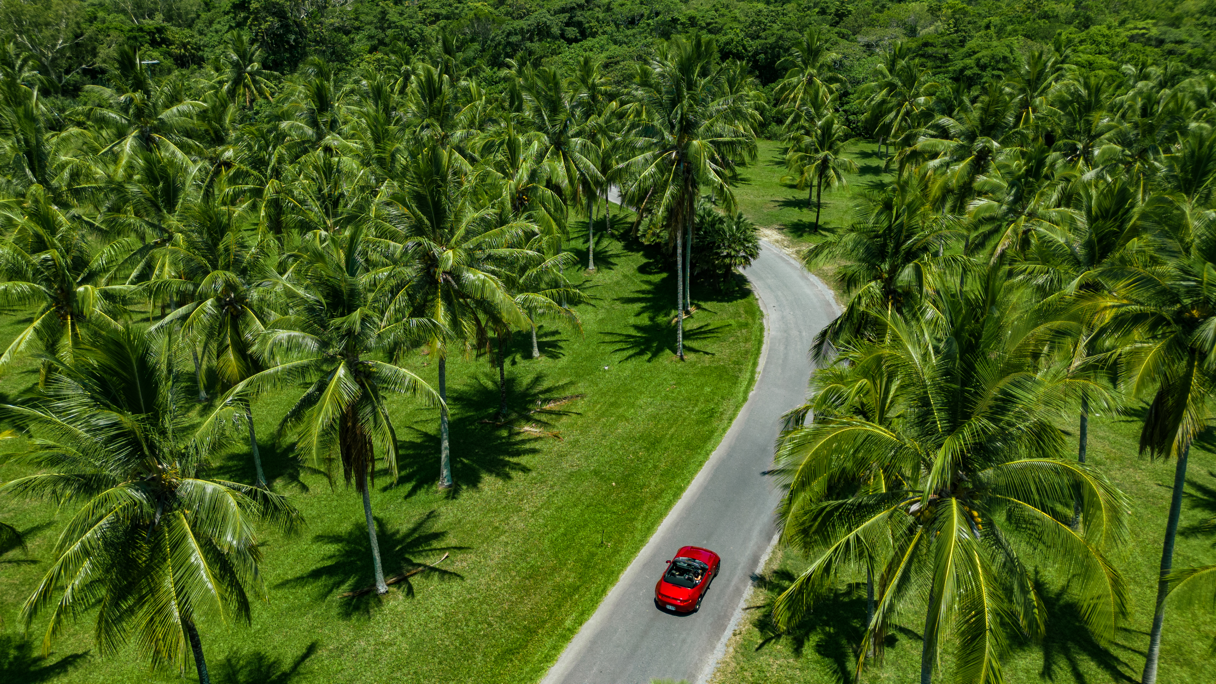 Mini Car Rentals - Cover photo