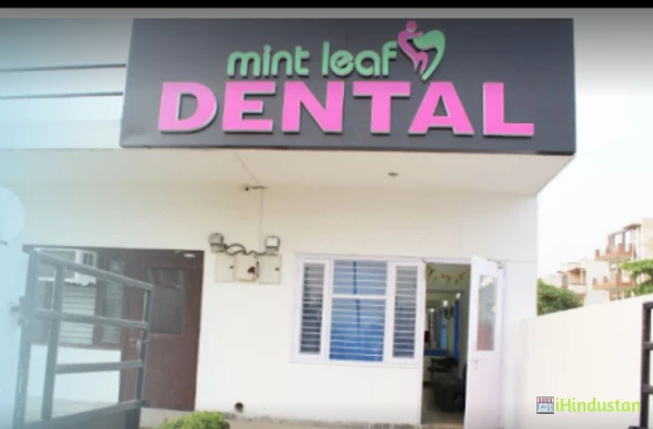 Mint Leaf Dental Clinic - Logo