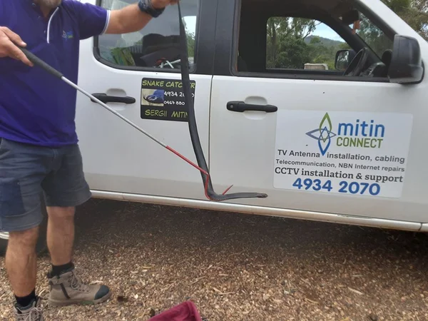 Mitin Connect - Cover photo