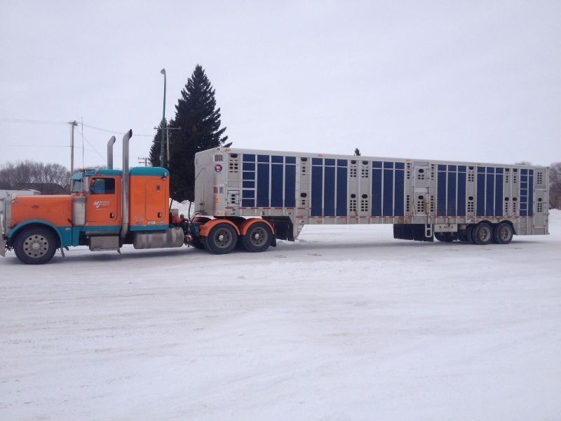 MJ Petersen Transport LTD. - Cover photo