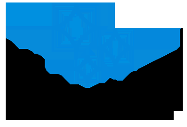 MLLE NET - Logo