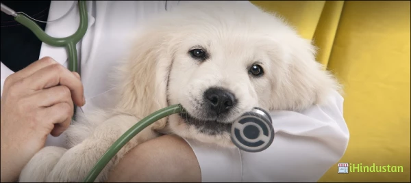 Mobile Vet Clinic. - Logo