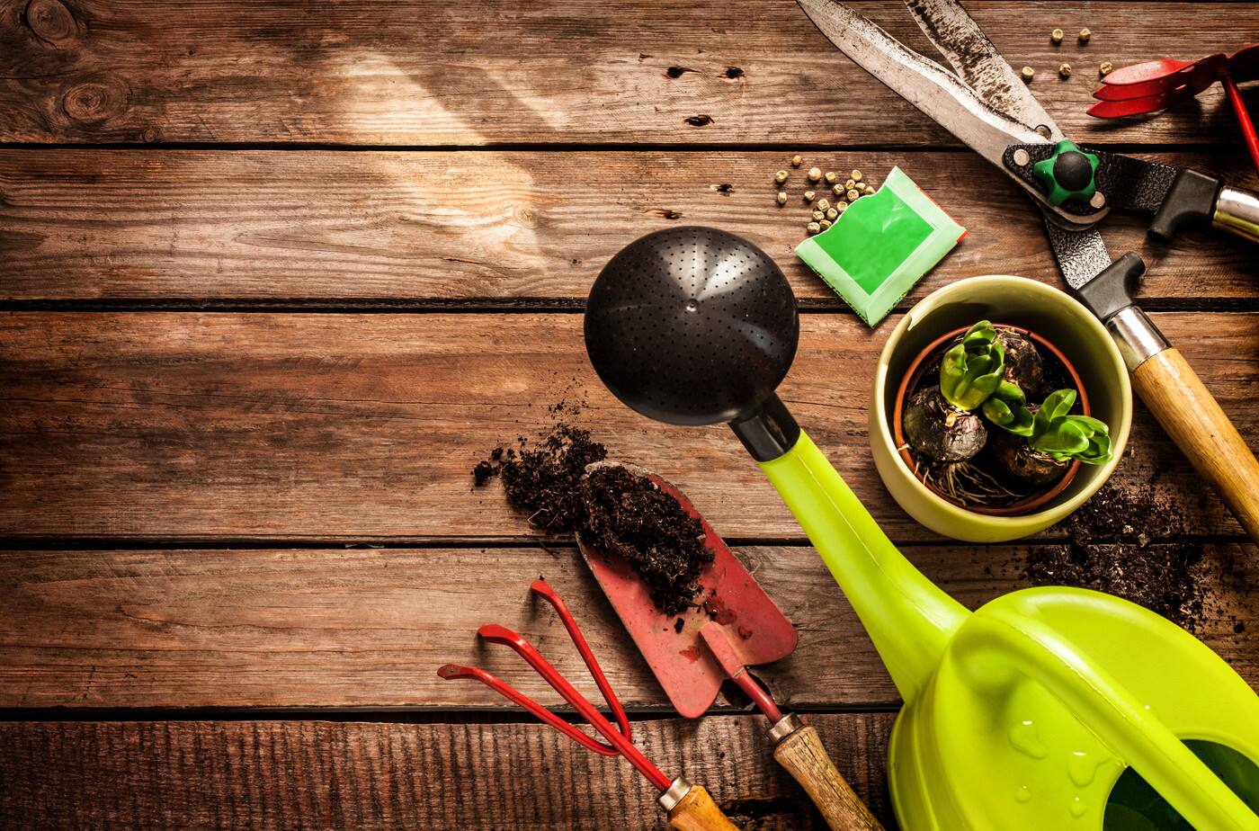 Modern Landscaping - Cover photo