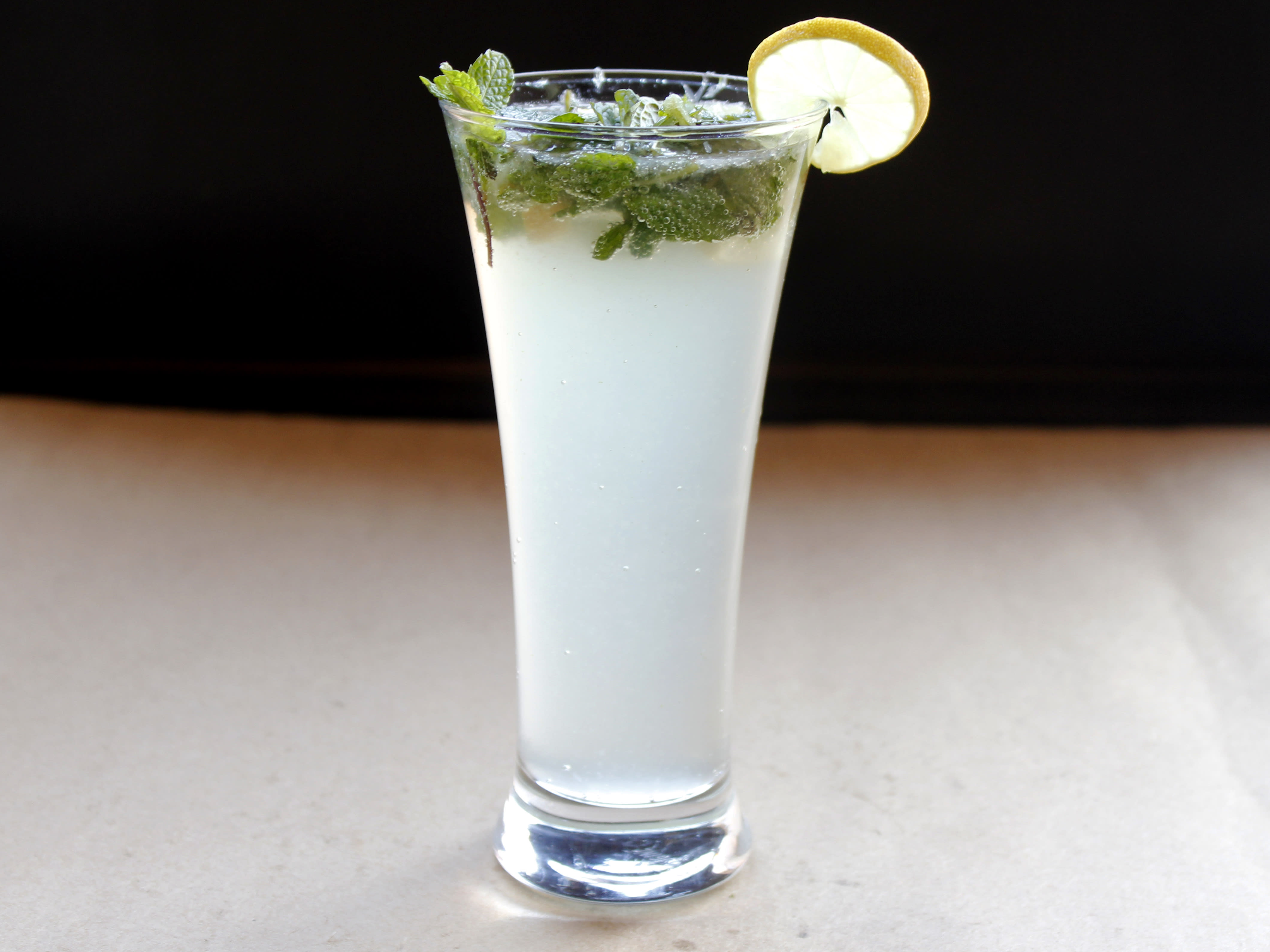MOJITO LOVERS - Logo