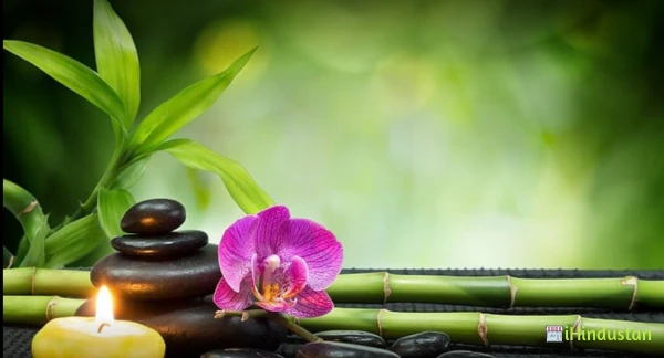 Moksh Clinic(homeopathic ayurvedic clinic) - Logo