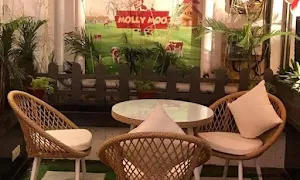 Molly Moo - Cover photo