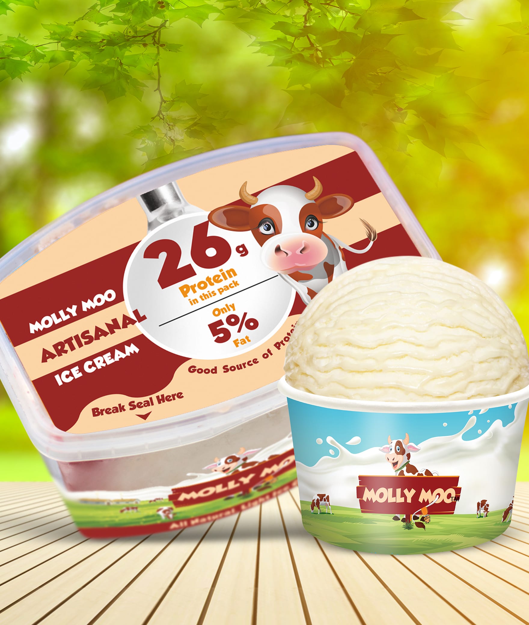 Molly Moo Ice Creams - Logo
